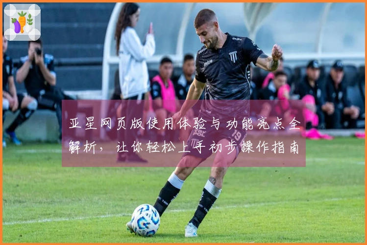 亚星网页版使用体验与功能亮点全解析，让你轻松上手初步操作指南