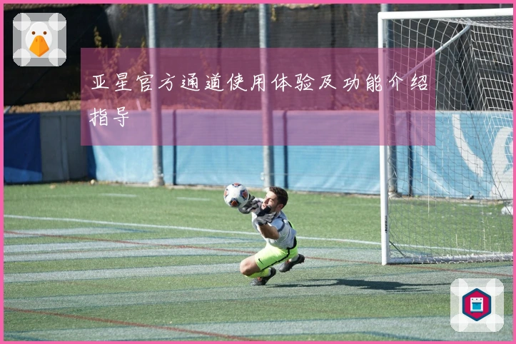 亚星官方通道使用体验及功能介绍指导